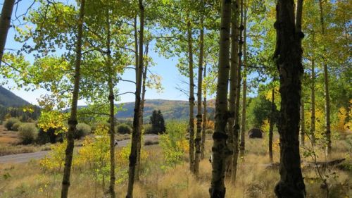79 Aspen Trl, Antonito, CO 81120