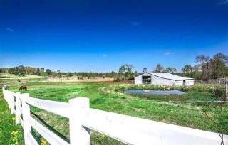 957 County Road 3510, Leesburg, TX 75451-3700
