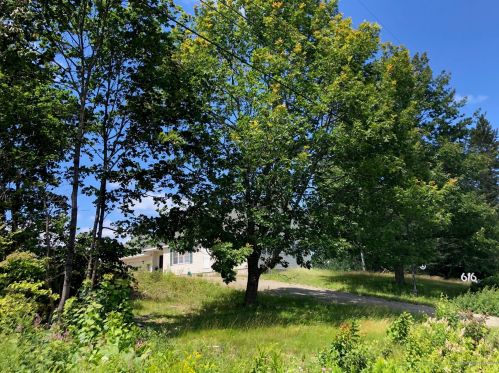 616 North Rd, Mount Chase, ME 04765-4206