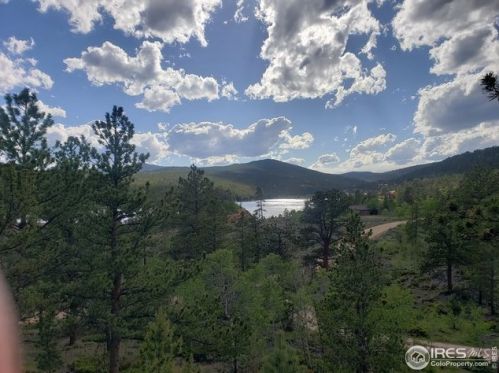 134 Swift Deer Rd, Red Feather Lakes, CO 80545-8694