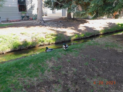 10872 Evans Ave, Denver CO  80227-2015 exterior