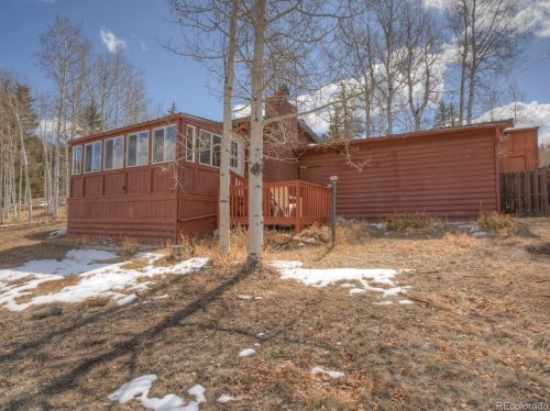 158 Brook Dr, Tarryall, CO