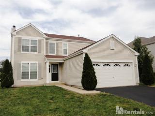 1705 Trails End Ln, Lemont IL  60490-3295 exterior