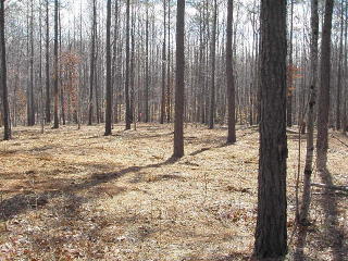 630 Red Rd, Dillwyn, VA 23936