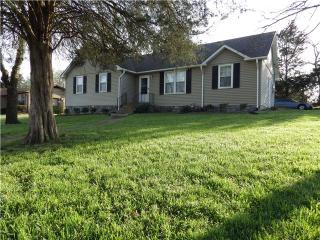 221 Slayton Dr, Madison, TN 37115-2352