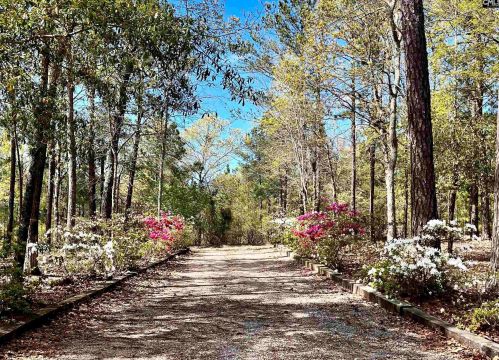 220 Mount Elon Church Rd, Horrel Hill, SC 29061-9029