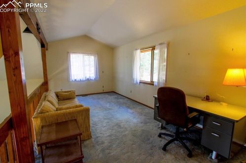 1241 Frst Edge Rd, Woodland Park CO 80863-2406 exterior