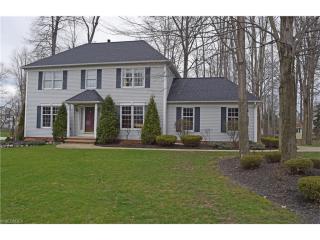7695 Snowberry Ct, Concord Township, OH 44060-7100