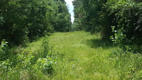 2171 Raborn Rd, Jennings, MS 39652-9173