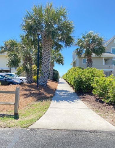 5 Ocean Park Ct, Isle Of Palms SC  29451-2244 exterior