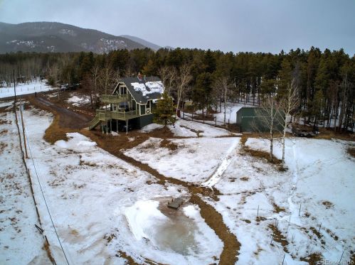 31855 Griffin Dr, Conifer, CO 80433-9516