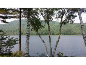133 Stocker Pond Rd, Grantham, NH 03753-3411