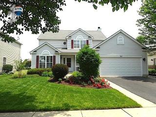 163 Amberleigh Dr, Romeoville, IL 60446-4085