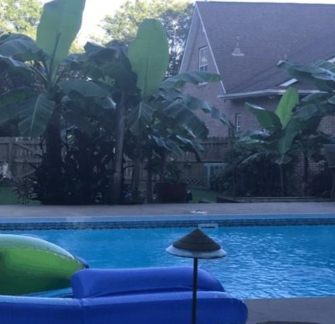 1306 Eddie Craig Ct, Mcdonough, GA 30252-7090