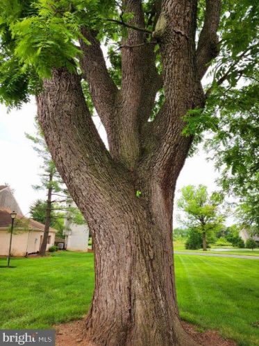 50 Valleybrook Dr, Lancaster PA  17601-4612 exterior