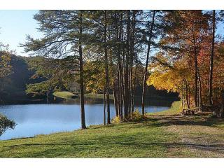 5618 Highway 52, Dawsonville, GA 30534-1212