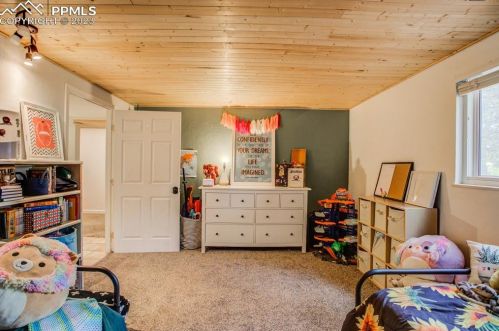 411 Evergreen Cir, Woodland Park CO 80863-2393 exterior