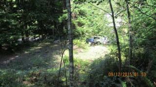 253 Elk Dr, Brinnon, WA 98320-9634