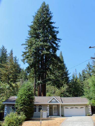 195 Oakwood Ln, Big Basin, CA 95006-9523