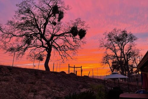 4952 Fong Dr, Copperopolis, CA 95228-9579