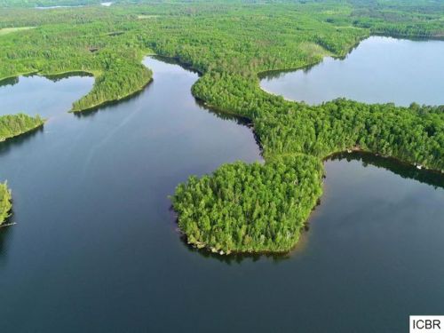 35320 Burns Lake Rd, Marcell, MN 56657-2190