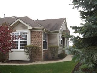 39 Regent Dr, Gilberts, IL 60136-4056