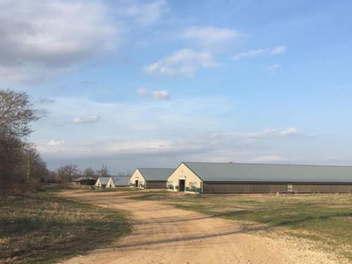 13038 Cincinnati Rd, Summers, AR 72769-9722