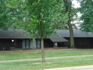 18373 Falling Water Rd, Cleveland, OH 44136-4239