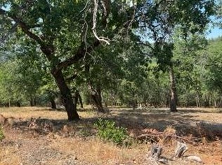 3188 One Eye Creek Rd, Swansboro Country, CA 95667-9082