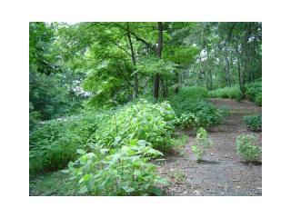 617 Panorama Pt, Big Canoe, GA 30143-5637