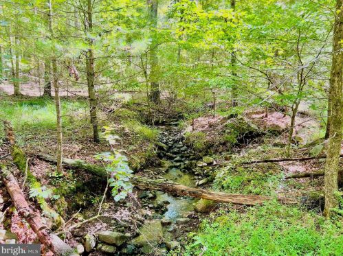 189 Lyle House Rd, Mathias WV  26812 exterior