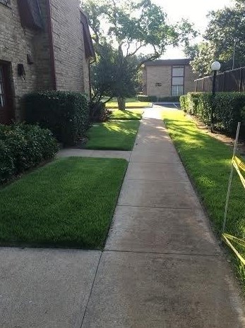 1809 Grauwyler Rd, Irving TX  75061-3006 exterior
