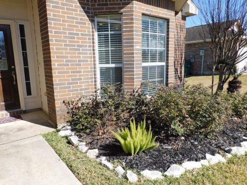 2202 Perkins Crossing Dr, Conroe TX  77304-6810 exterior