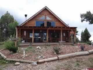 356 Blackhawk Trl, Tiffany, CO 81137-9191