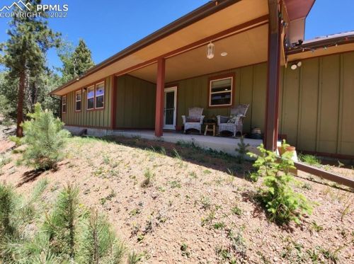 1131 Pikes Peak Dr, Divide, CO 80814-7784