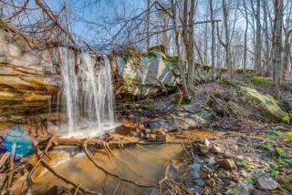 1050 Woodland Trl, Ravenscroft, TN 38583-2869