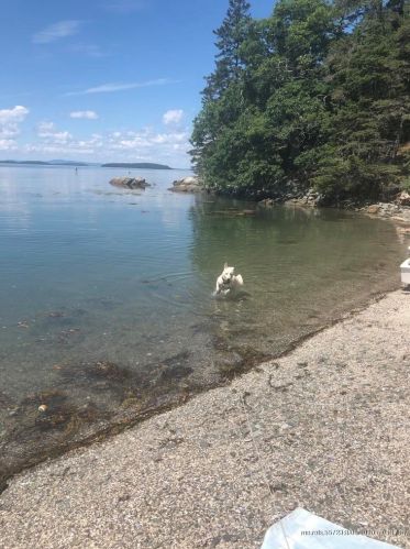 203 Dow Rd, Deer Isle, ME 04627-3403
