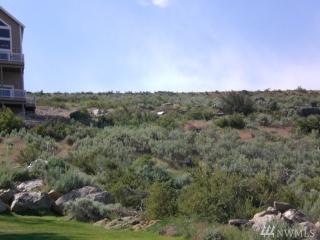 785 Emerson Dr, Orondo, WA 98843-9660