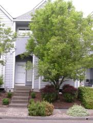 419 Roth St, Portland, OR 97211-1078