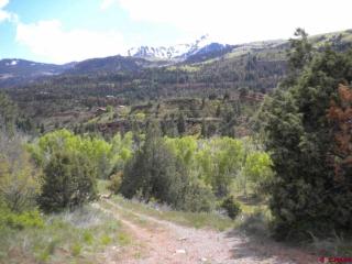 17004 Highway 550, Ridgway, CO 81432-9606