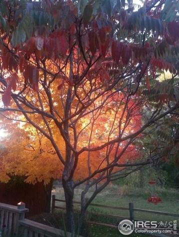 4955 C St, Greeley CO 80631-9574 exterior