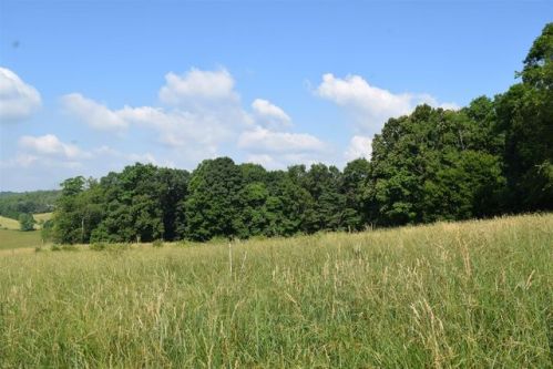 1303 Coles Knob Rd, Pilot, VA 24138-1487