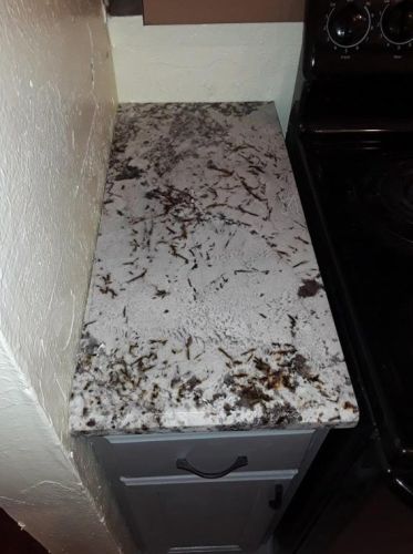 2940 Pegasus Dr, Garland TX  75044-6238 exterior