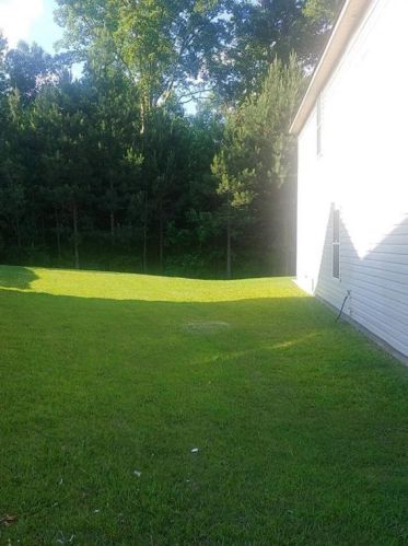 1123 Watercourse Way, Hampton, GA 30228-4407