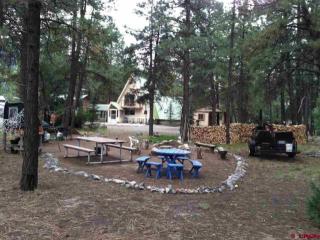 1136 County Road 23, Ridgway, CO 81432-9538