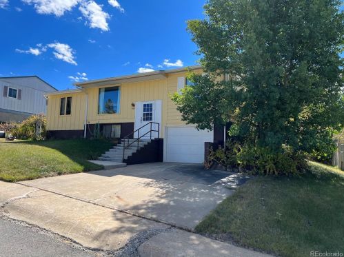 603 8th St, Leadville, CO 80461-3837