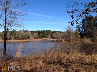 165 Village Lake Ct, Brooks, GA 30205-2238