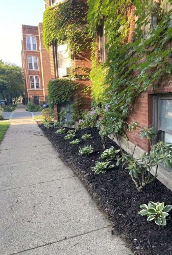 1410 Jonquil Ter, Chicago, IL 60626-1212