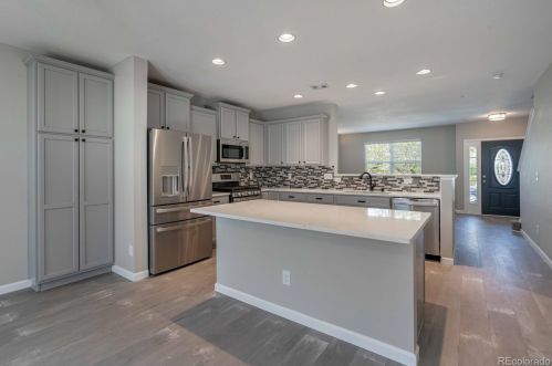 24738 Layton Pl, Denver CO exterior