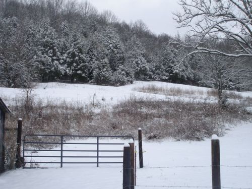 3268 Locke Creek Rd, Readyville, TN 37149-5170